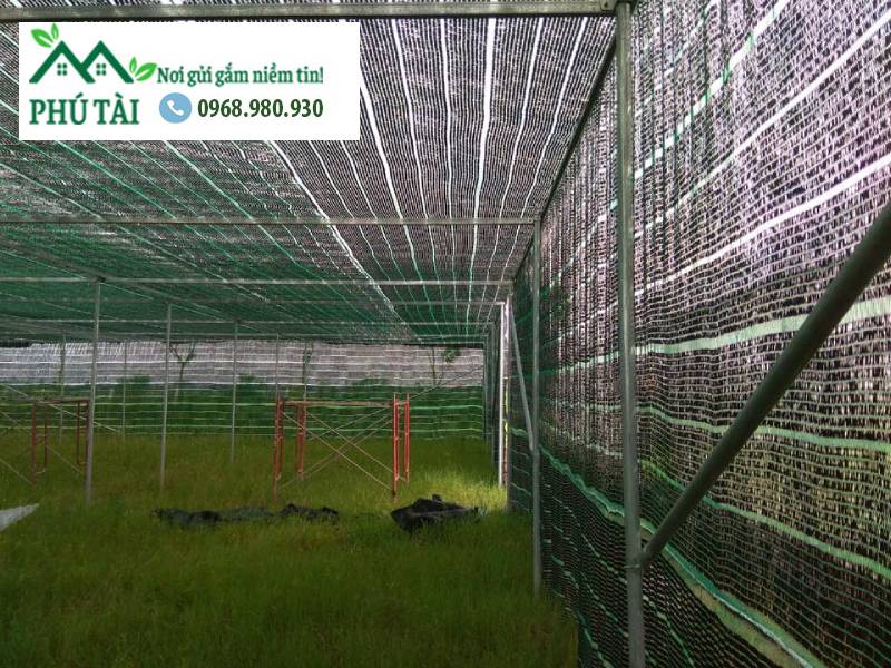 Lưới che nắng tại TP. Hồ Chí Minh Lưới che nắng