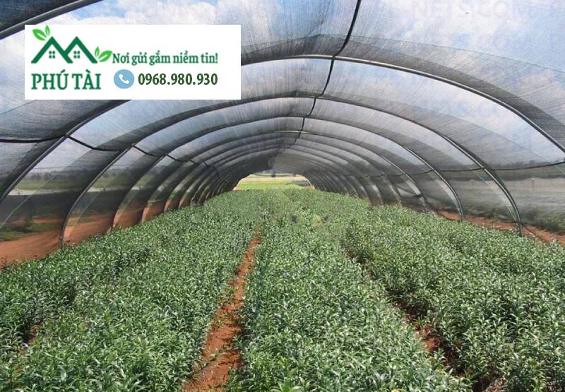 Lưới che nắng tại Đồng Tháp Lưới che nắng