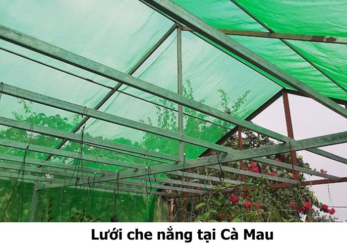 Lưới che nắng tại Cà Mau Lưới che nắng tại Cà Mau