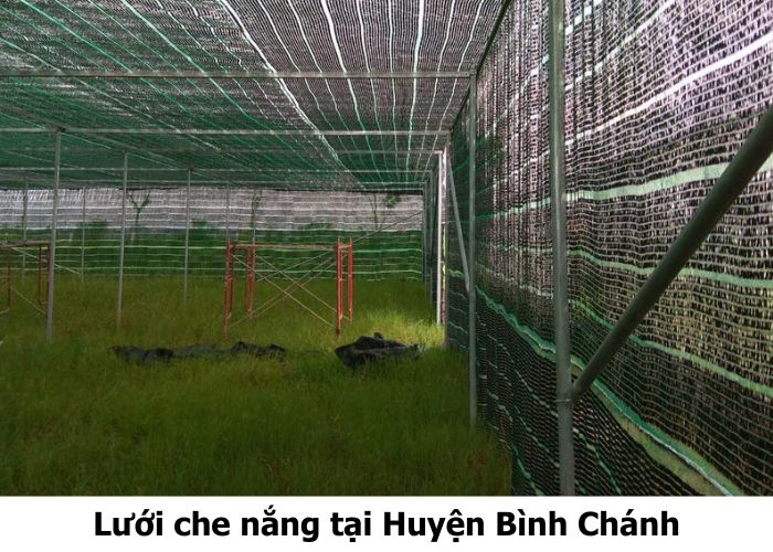 Lưới che nắng tại Huyện Bình Chánh Lưới che nắng tại Huyện Bình Chánh