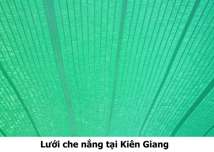 Lưới che nắng tại Kiên Giang Lưới che nắng tại Kiên Giang