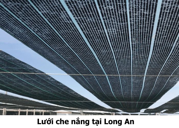 Lưới che nắng tại Long An Lưới che nắng tại Long An