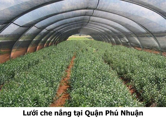 Lưới che nắng tại Quận Phú Nhuận