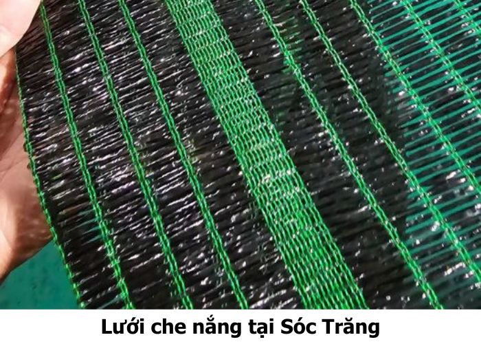 Lưới che nắng tại Sóc Trăng Lưới che nắng tại Sóc Trăng