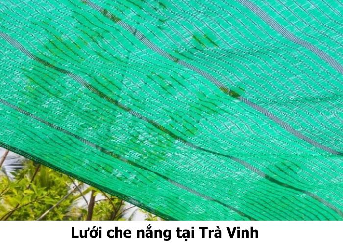 Lưới che nắng tại Trà Vinh Lưới che nắng tại Trà Vinh