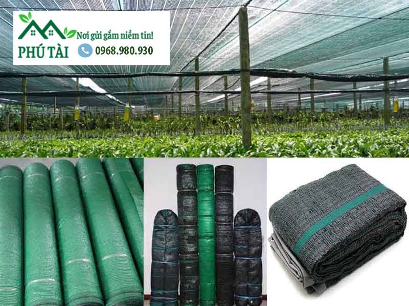 Lưới che nắng tại Bến Tre Lưới che nắng