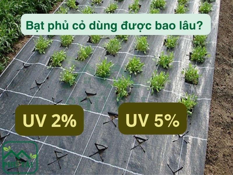 Bạt phủ cỏ dùng được bao lâu? Những yếu tố ảnh hưởng độ bền Bạt phủ cỏ dùng được bao lâu