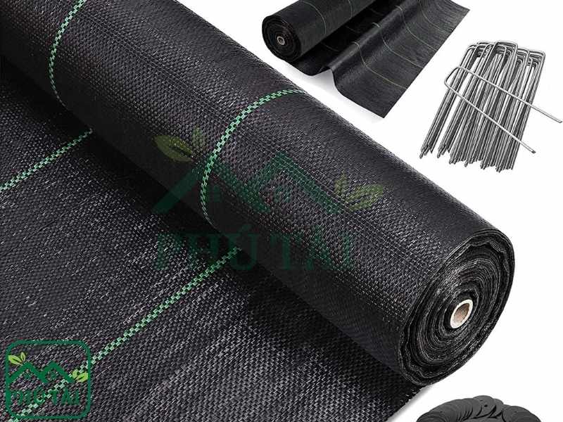 Bạt phủ cỏ dùng được bao lâu? Những yếu tố ảnh hưởng độ bền Cuộn bạt phủ cỏ tuổi thọ có thể trên 5 năm nếu chứa nhiều chất chống UV